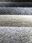 Pros and Cons of Carpet Flooring in Your Home 